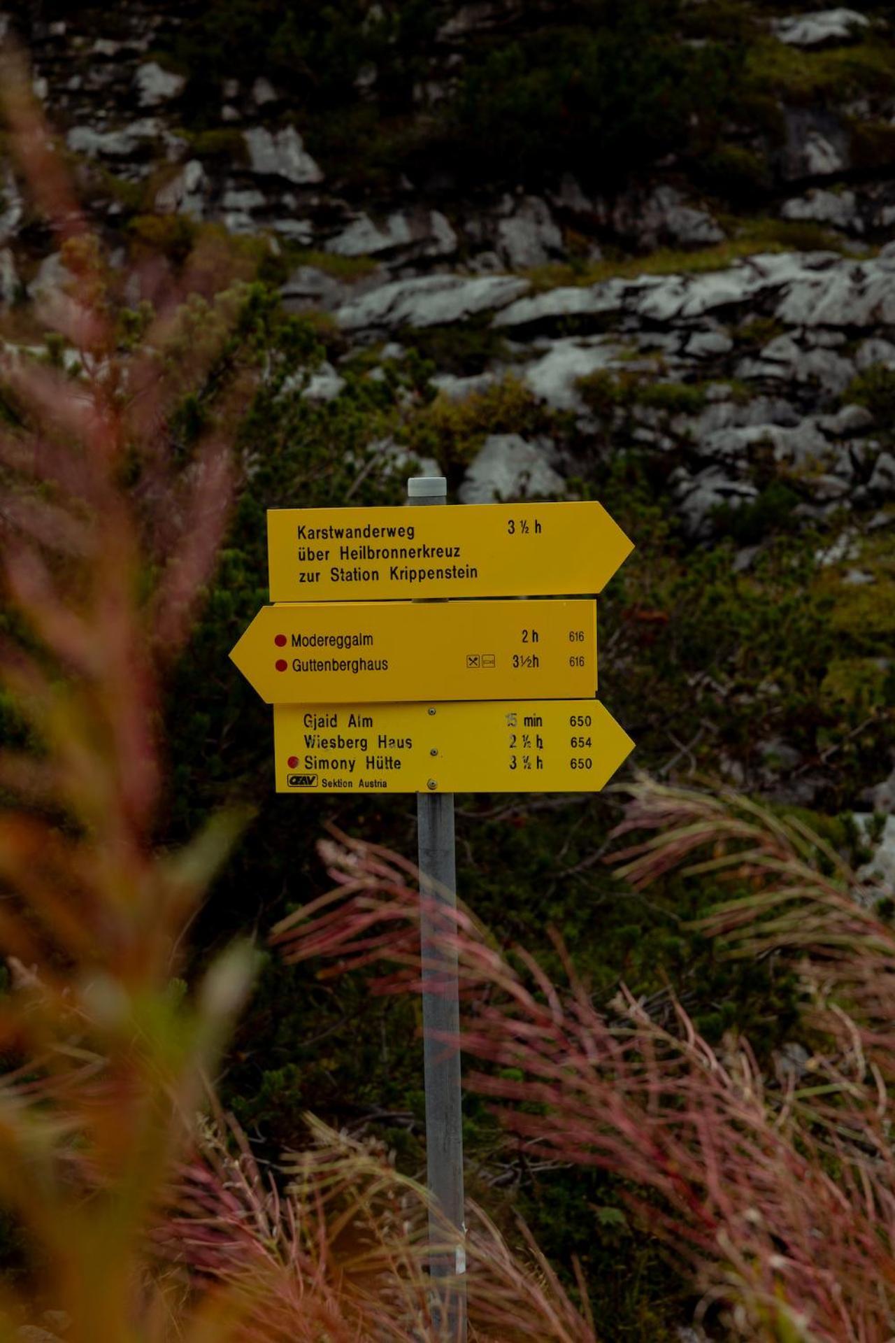 Gjaid-Alm 1739M Am Dachstein-Only Accessible By Cable Car Hotell Obertraun Exteriör bild