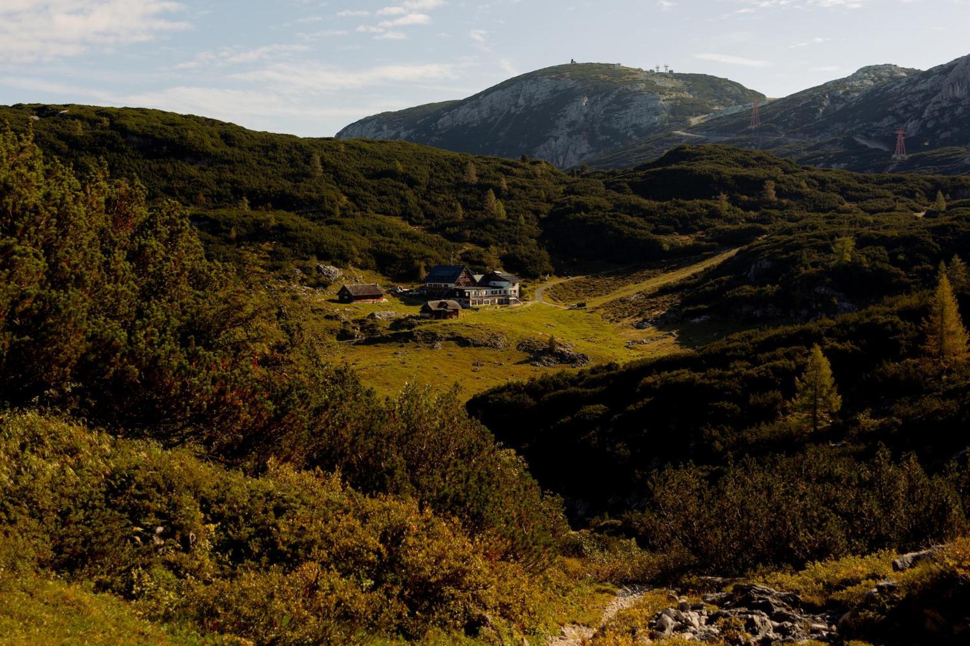 Gjaid-Alm 1739M Am Dachstein-Only Accessible By Cable Car Hotell Obertraun Exteriör bild